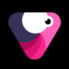 Velomingo Edit Maker ícone