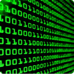 Programming MCQ APK download