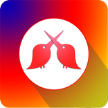 Velle: Influencer, Fanpage, Blogger &Entertainment