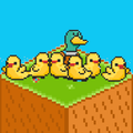 Ducklings - Patos Bebes