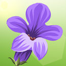 Lucky Lavender - Grow your plant for free Luck! APK