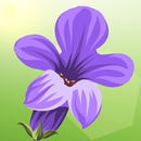 Lucky Lavender - Grow your plant for free Luck! aplikacja