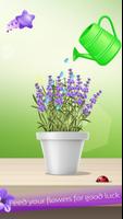 Lucky Lavender 截图 3