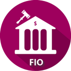 ikon FIO -Recovery of Finances 2001