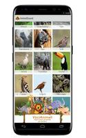 Poster Versi Animali