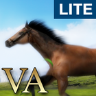 ikon VA Horse Wallpaper LITE