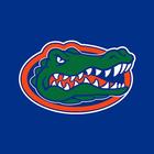 Florida Gators أيقونة