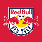 New York Red Bulls icône