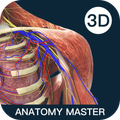 ”Anatomymaster