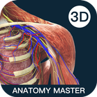 解剖大师-3D人體運動解剖學習工具 圖標