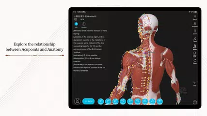 Baixar Acupuncture Master XAPK