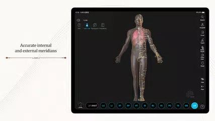 Baixar Acupuncture Master XAPK