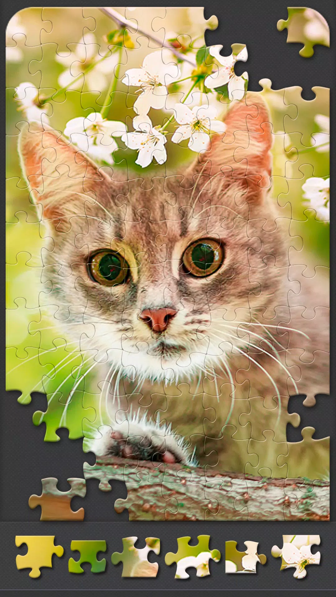 Jigsaw Puzzle Games for Adults APK for Android Download