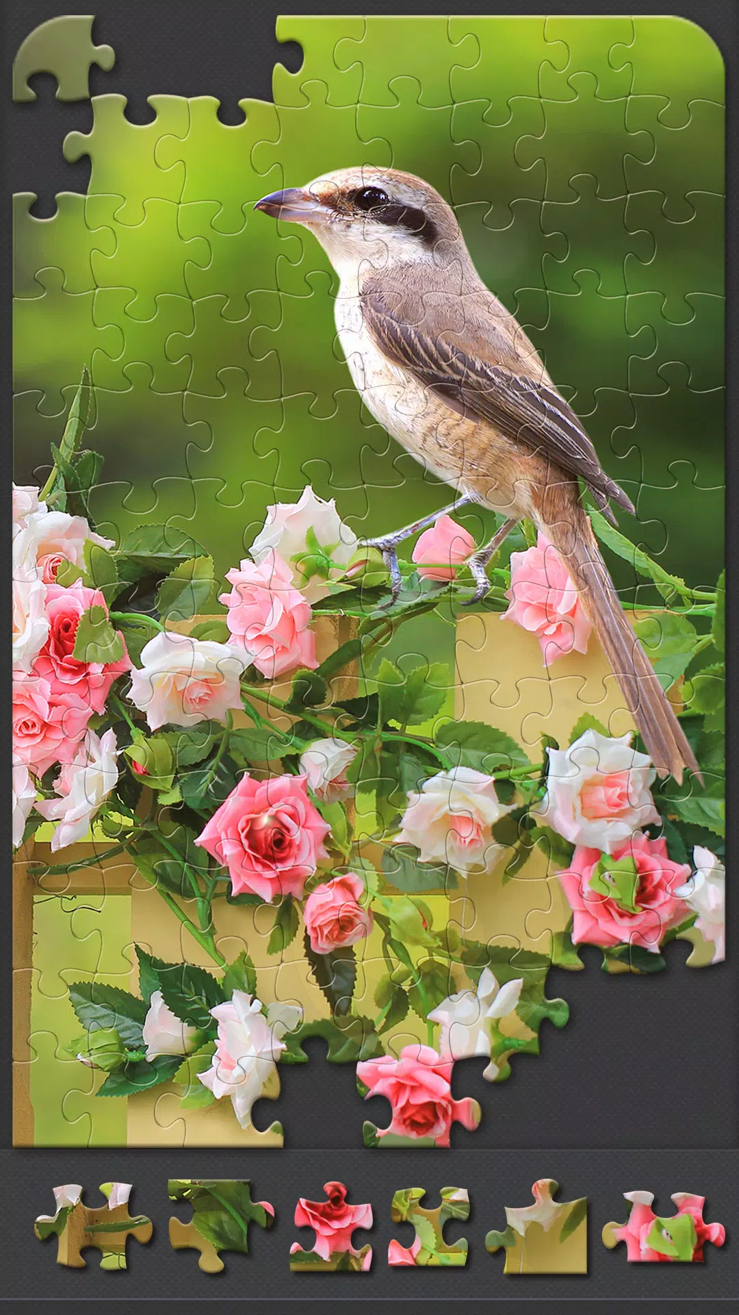 Jigsaw Puzzle Games for Adults APK for Android Download