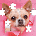 Jigsaw HD