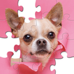 ”Jigsaw Puzzles Collection HD