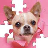 Jigsaw Puzzles Collection HD