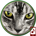 Animals Ringtones icon