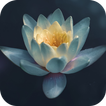 Zen Wallpapers