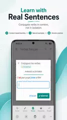 French Verbs - Conjugation XAPK download