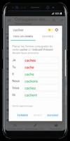 French Verbs - Conjugation Screenshot 2