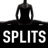 Splits Stretch Training