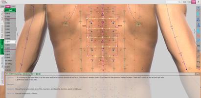 Extra Acupoints اسکرین شاٹ 3