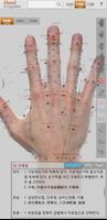 Hand Acupoint Affiche