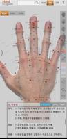 Hand Acupoint poster