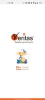 Veritas Sales Team 海报