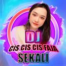 DJ Cis Cis Faja Sekali Remix APK