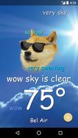 Weather Doge Affiche