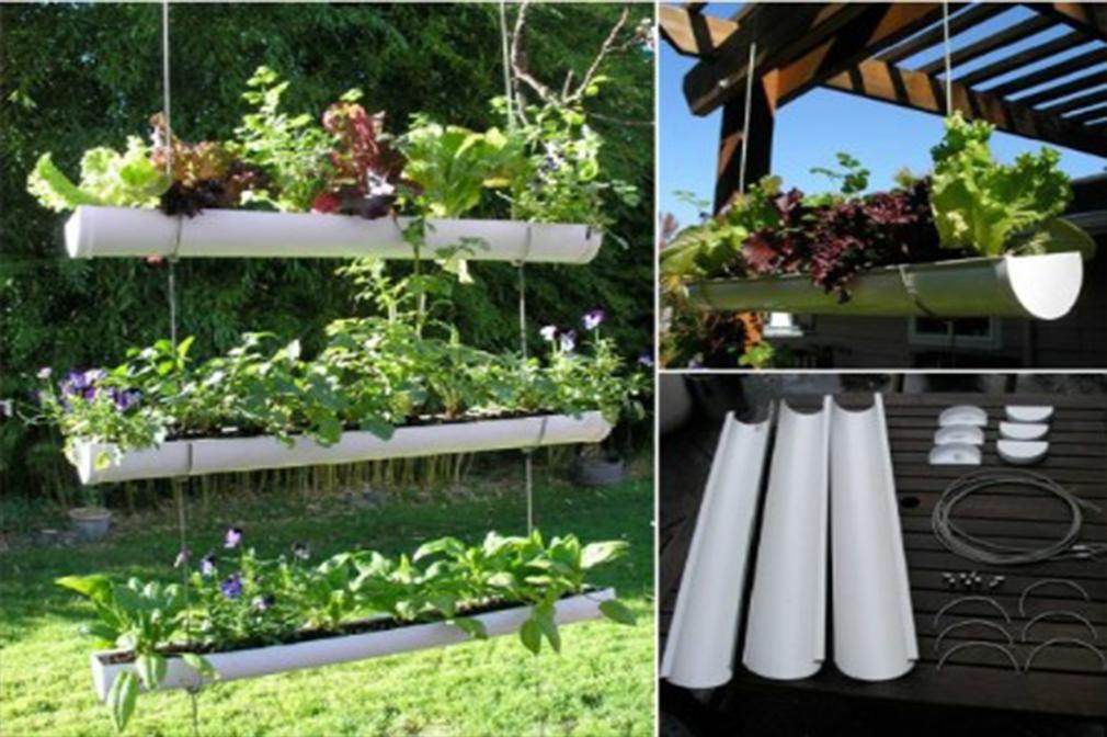 Vertical Hanging Garden Ideas For Android Apk
