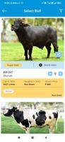 Livestoc Pro ภาพหน้าจอ 2