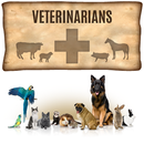 Vets & Veterinary Clinics- USA APK