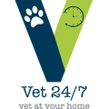 ”VET 24/7 - vet at your home