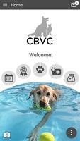 CB Vet Clinic-poster