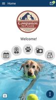 Companion Pet Care NH Affiche