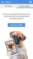 Canandaigua Vet اسکرین شاٹ 2