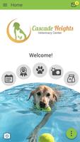 Cascade Heights Vet poster