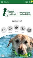My Pet Points poster
