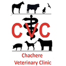 Chachere Vet APK