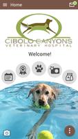 Cibolo Canyons Vet screenshot 2