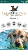 CMH Vet Affiche