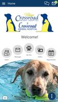 CrossroadVet পোস্টার