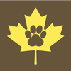 Amber Leaf Animal Hospital icon