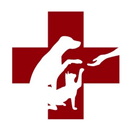 ACOC APK