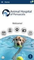 AH of Pensacola poster