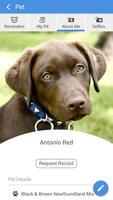 Poster PittsfordVet