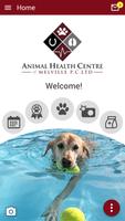 AHCMelville 海報